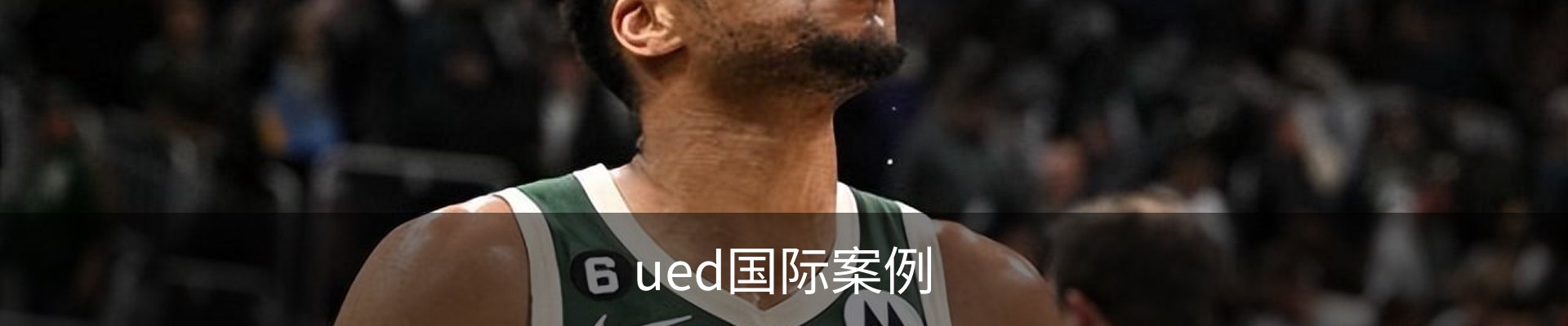 ued国际案例